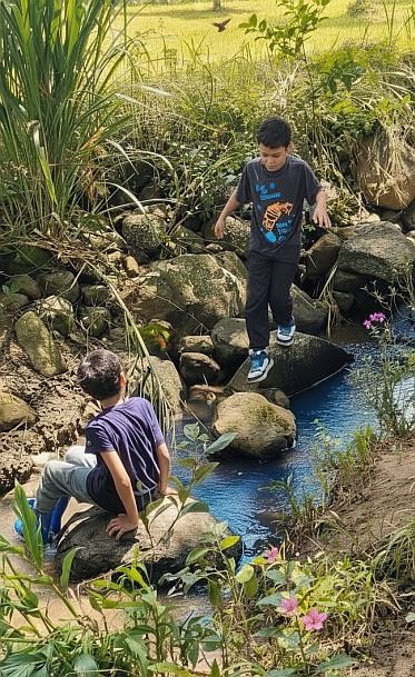 Galería ECOLAGO